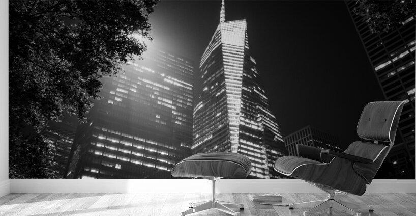 bryant park at night  horizontal 1412 Bryant 13k. Wall Murals