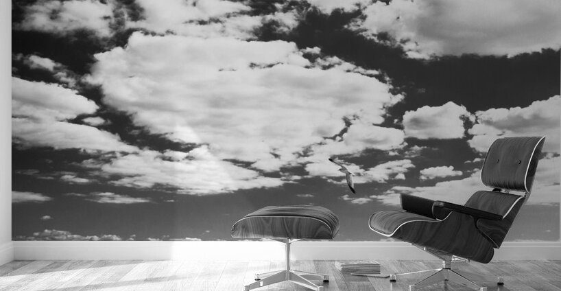 coney island pier  square 362 Gull 13k Wall Murals