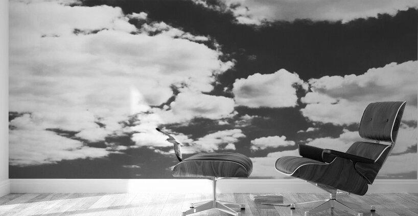 coney island pier  vertical 362 Gull 13k Wall Murals