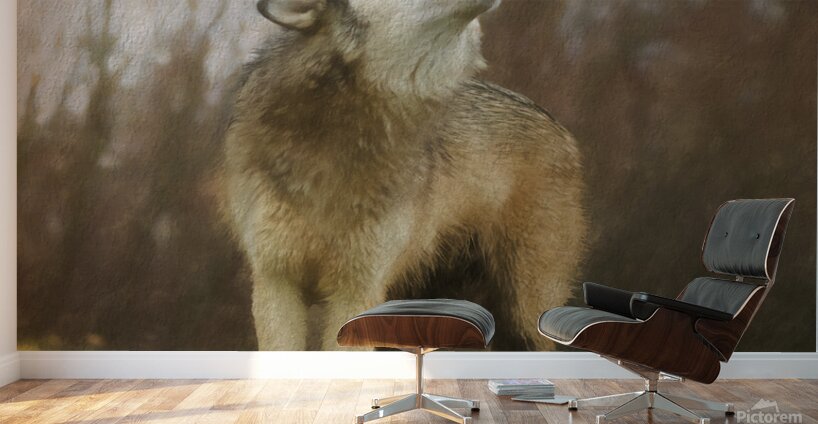 Wolves are legendary because of their spine-tingling howl  Wall Murals