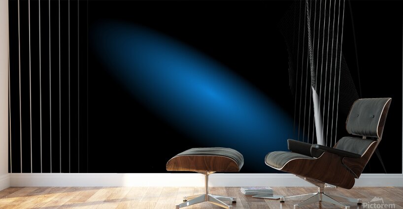 Black Blue and White  Wall Murals