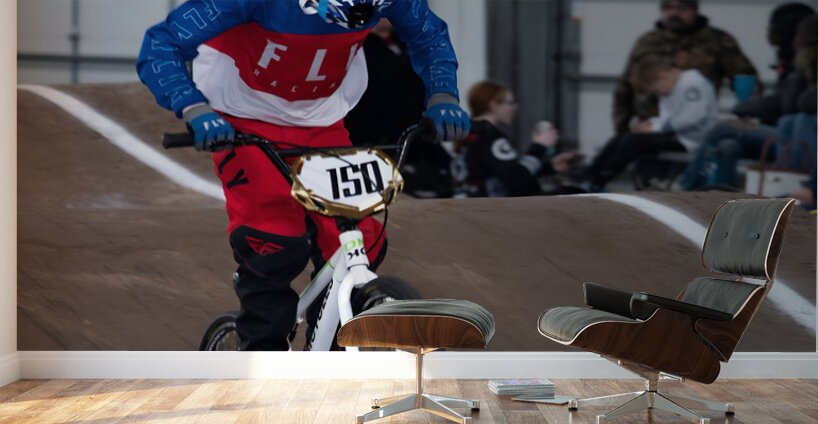 Image 116 Wall Murals