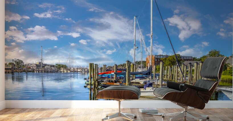 Blue Skies over Mystic River Wall Murals