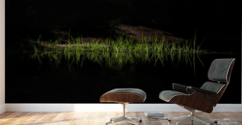 Grass along the rivers edge Wall Murals