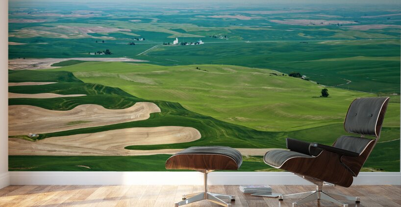 Palouse Wall Murals