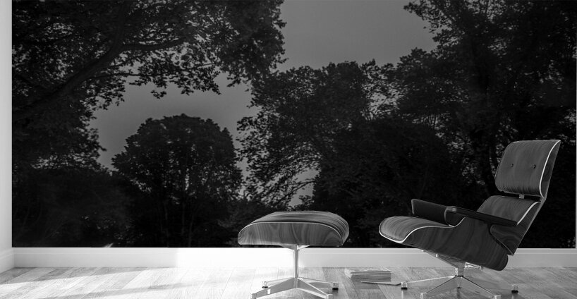 the mall central park  vertical 1466 Mall 13k Wall Murals