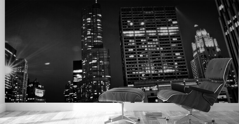 chicago city skyline from university of chicago   1708104174.3203 Wall Murals