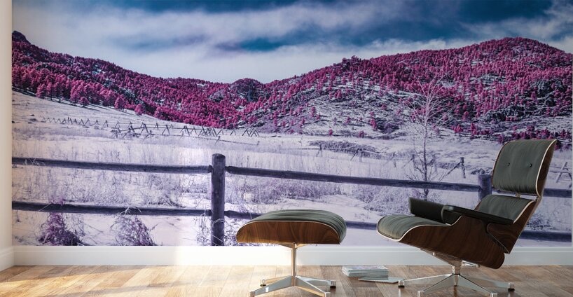Chautauqua Chronicles: Purple Majesty Wall Murals