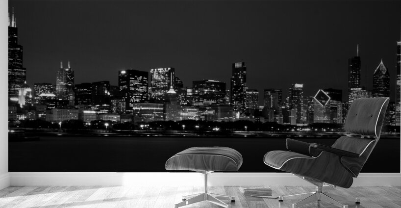 downtown chicago skyline from adler planetarium   1708121836.0523 Wall Murals
