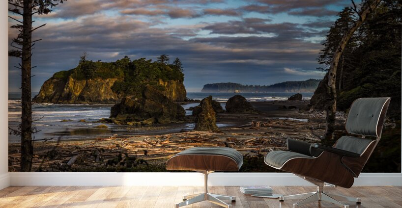 Mystical Shores: The Enigmatic Beauty of Ruby Beach Wall Murals