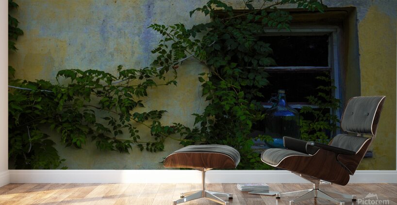 Tanya Window Great Plains of Hungary 2023 Wall Murals