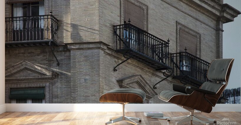 Residential Wall Murals