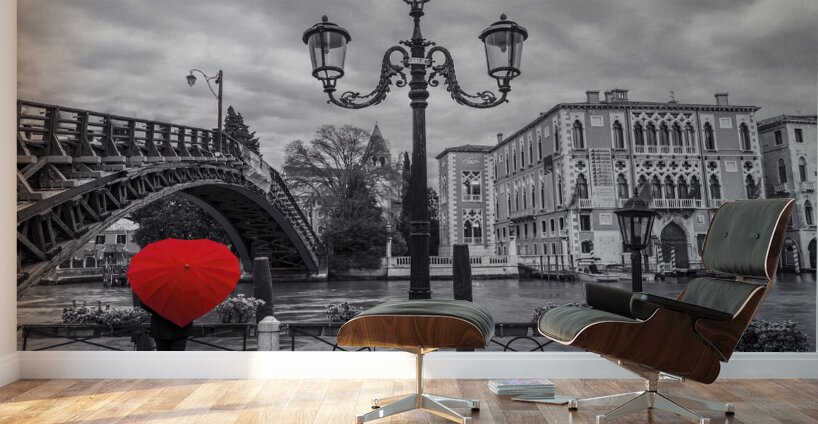 Accademia Bridge Venice Wall Murals
