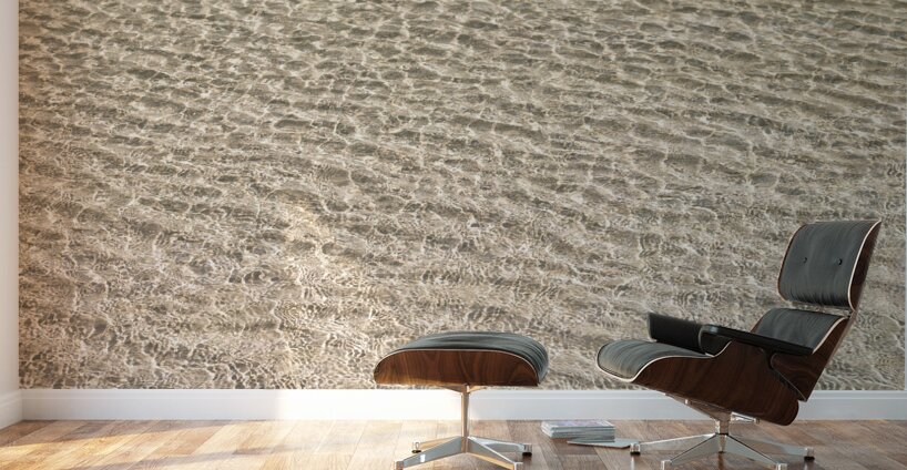 Shallow Waters Wall Murals