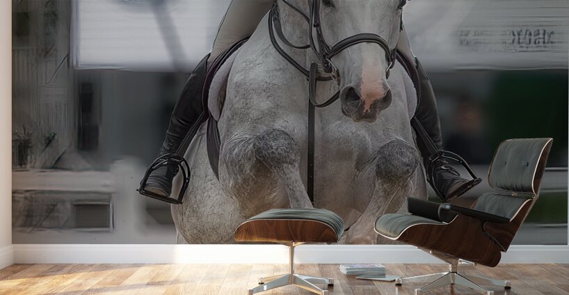 ACT *01678 Wall Murals