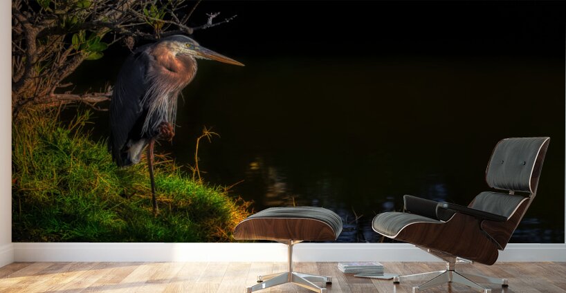 BIR 01718 Wall Murals