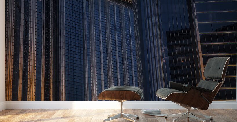 CIT 01736 Wall Murals