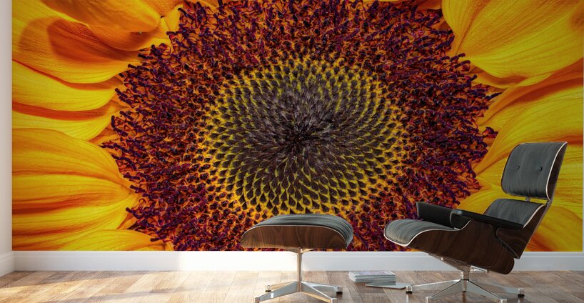 FLO 01764 Wall Murals