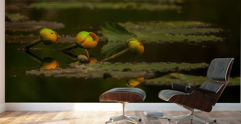 FLO 01759 Wall Murals