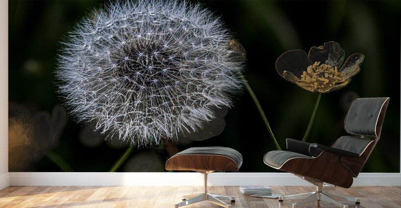 FLO 01805 Wall Murals