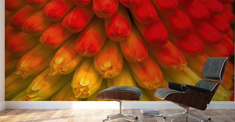 FLO 01822 Wall Murals