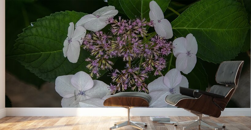 FLO 01773 Wall Murals