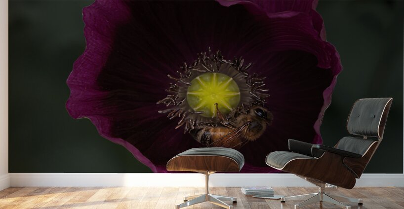 FLO 01799 Wall Murals