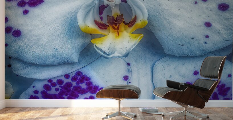 FLO 01813 Wall Murals