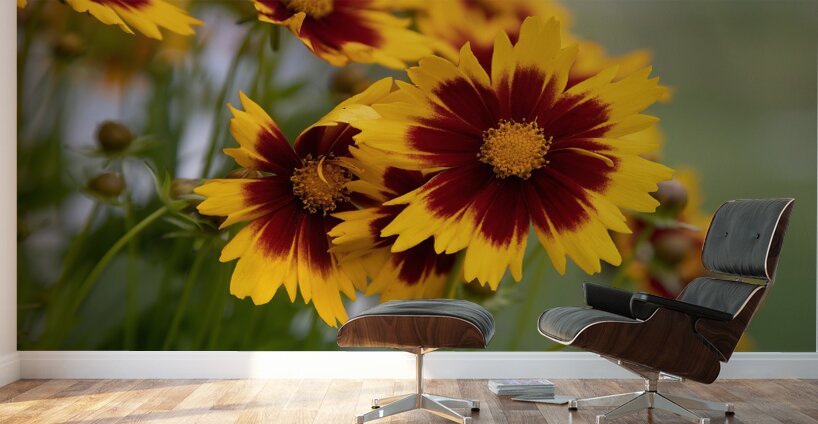 FLO 01801 Wall Murals