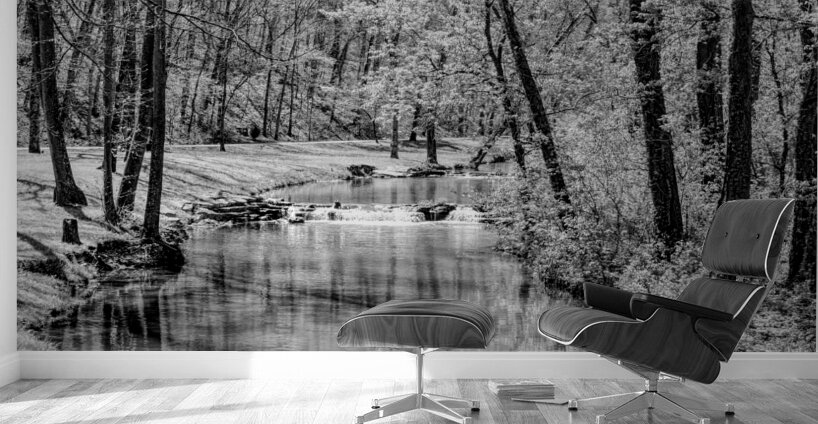 Spring Season Tranquility Grayscale Wall Murals