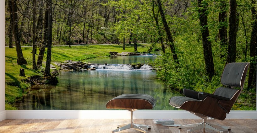 Green Spring Tranquility Wall Murals
