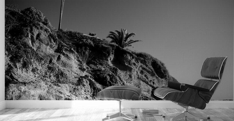 laguna beach skyline  vertical 220 Laguna 13k Wall Murals