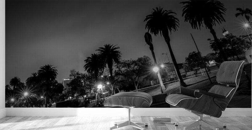 macarthur park at night  horizontal 2199 Urine 13 Wall Murals