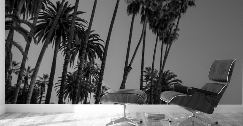 tall palm trees echo park  vertical 2182 Montrose Wall Murals