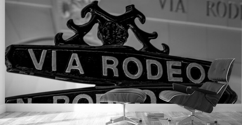 via rodeo and rodeo drive  vertical 2192 Rodeo 2 Wall Murals