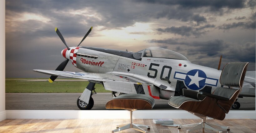 Well Earned Rest p-51 Wall Murals