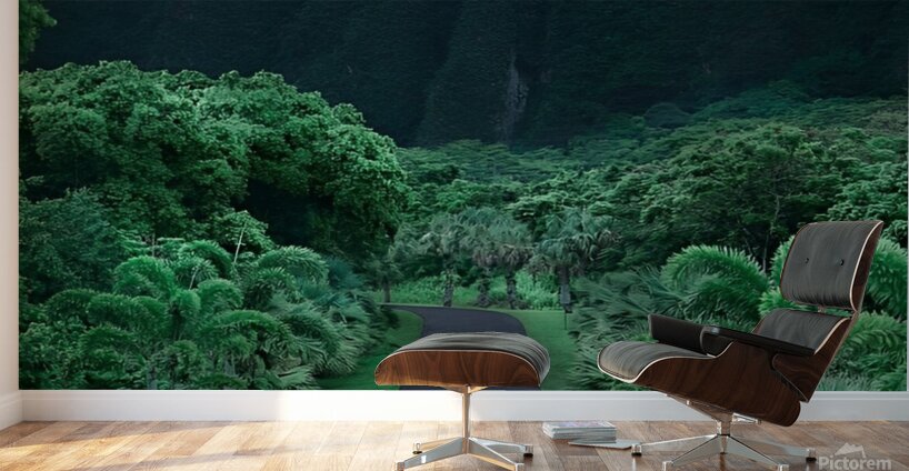 Green nature mountain road trees Wall Murals