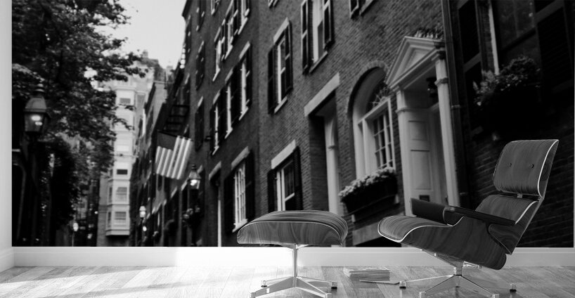 acorn street beacon hill  vertical 1369 Acorn 13k Wall Murals