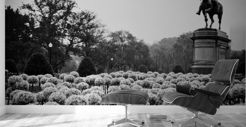 george washington statue public garden  square 13 Wall Murals