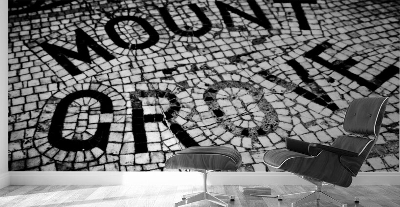 mount grove beacon hill  horizontal 1380 Grove 13 Wall Murals