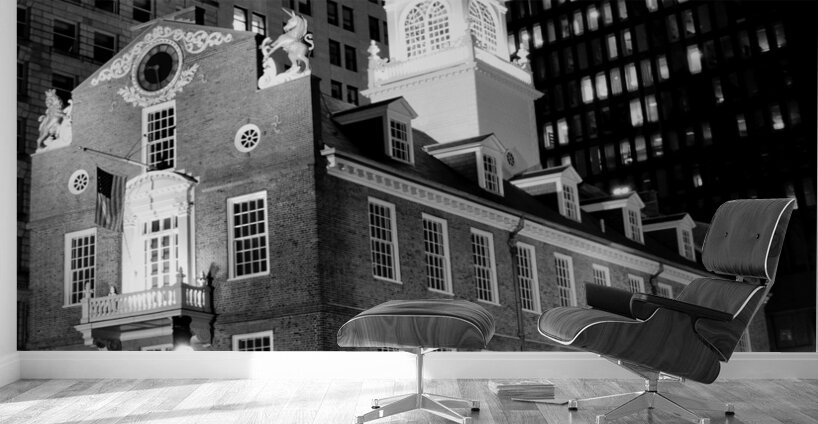 old state house  vertical 44 State 13k Wall Murals