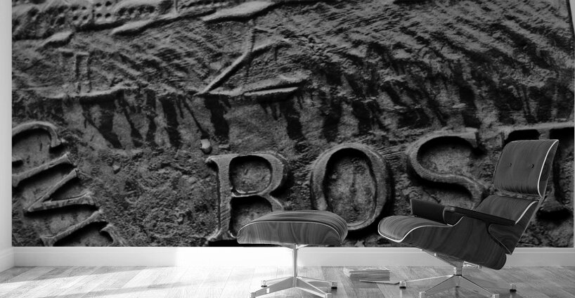 seal of boston public garden gates  vertical 1371 Wall Murals