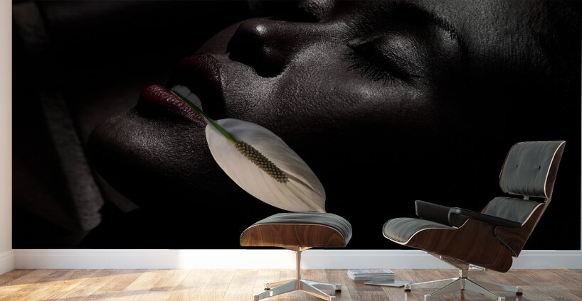 PEO 01852 Wall Murals