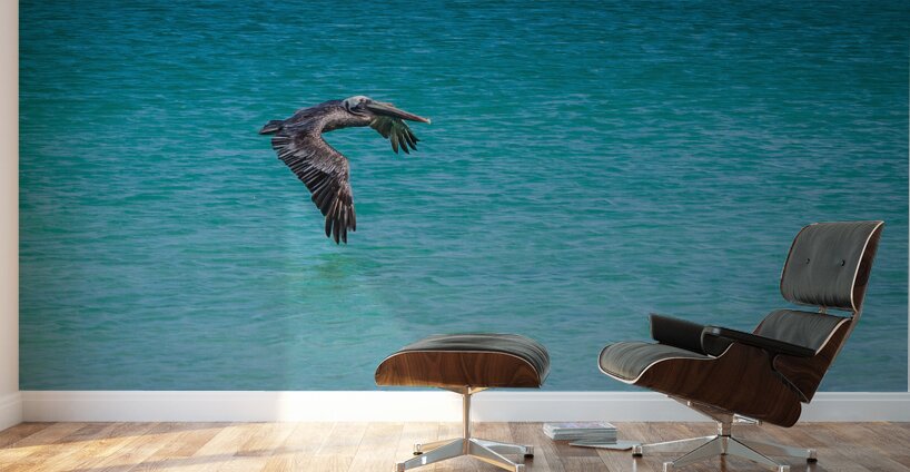 Sea Gull Adventure Wall Murals