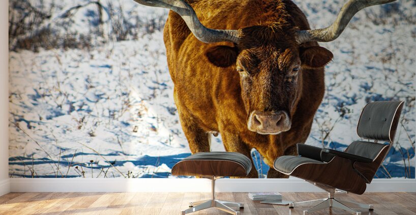 Twisted Sister In the Snow Wall Murals