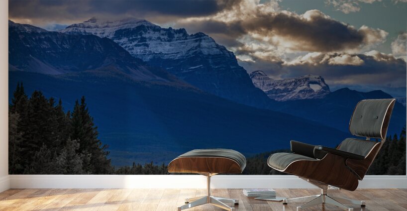 Bow Valley Train Wall Murals