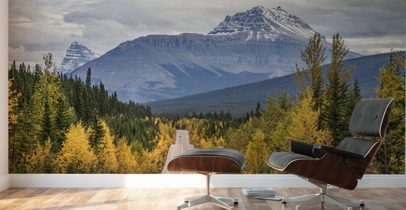 Icefiled Parkway Becons Wall Murals