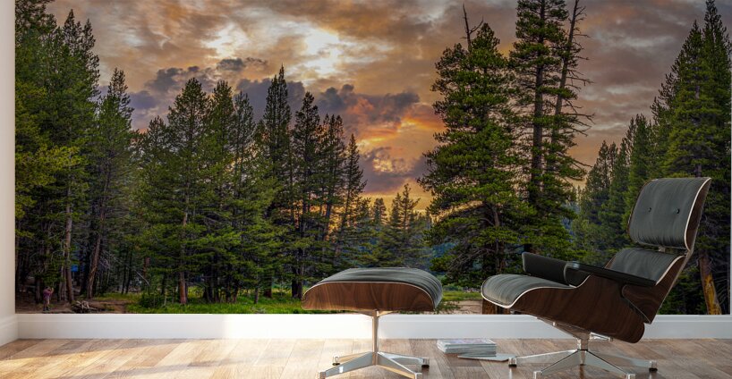 Tuolumne Meadows Sunset Wall Murals