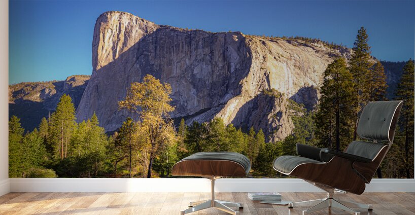 Big Stone Wall Murals