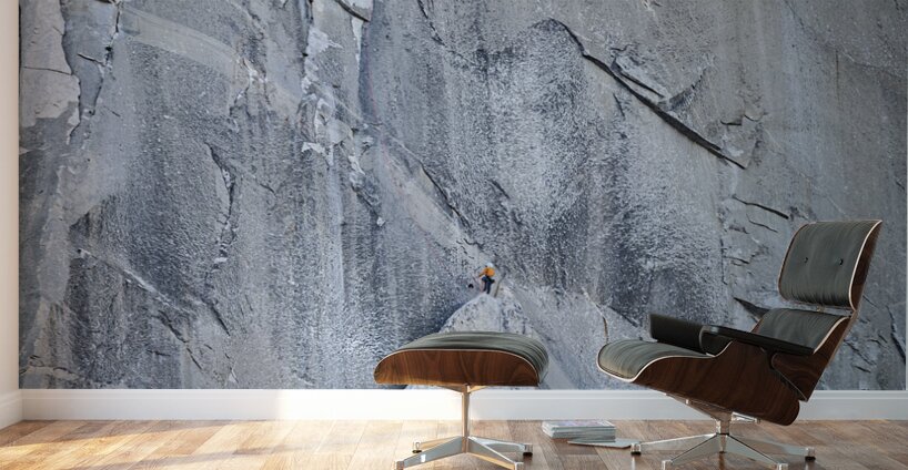 Boot Flake Wall Murals